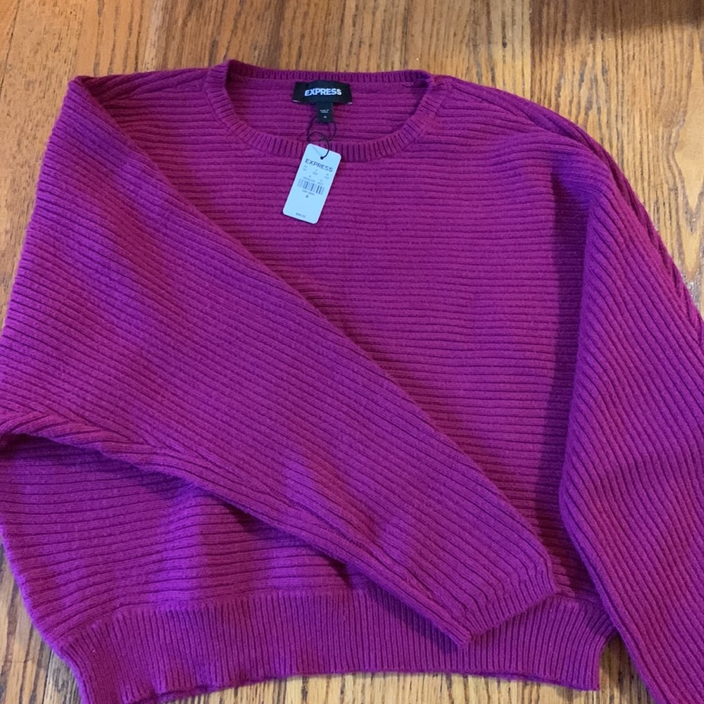 Express sweater size medium